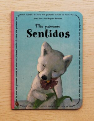 MIS PRIMEROS SENTIDOS. (Col. Mis primeros cuentos de nieve)