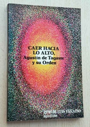 CAER HACIA LO ALTO, Agustín de Tagaste y su Orden