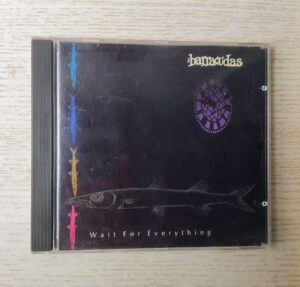 THE BARRACUDAS - WAIT FOR EVERYTHING (CD)