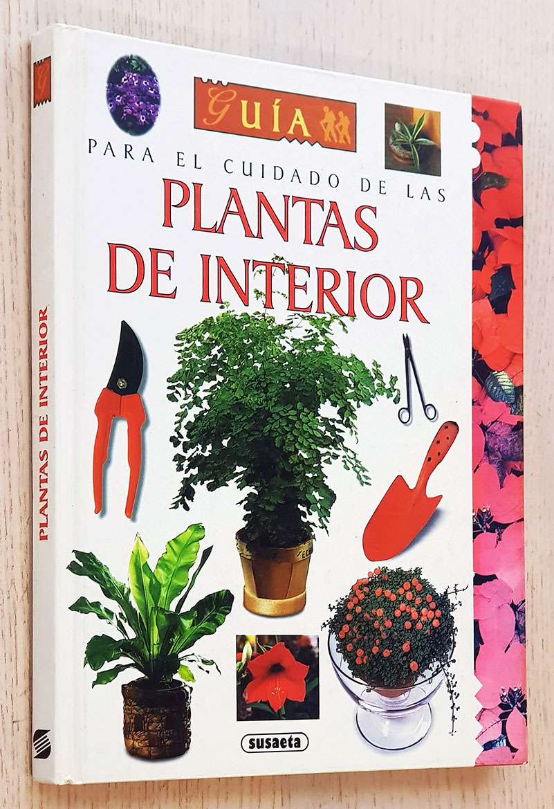 GUIA PARA EL CUIDADO DE LAS PLANTAS DE INTERIOR