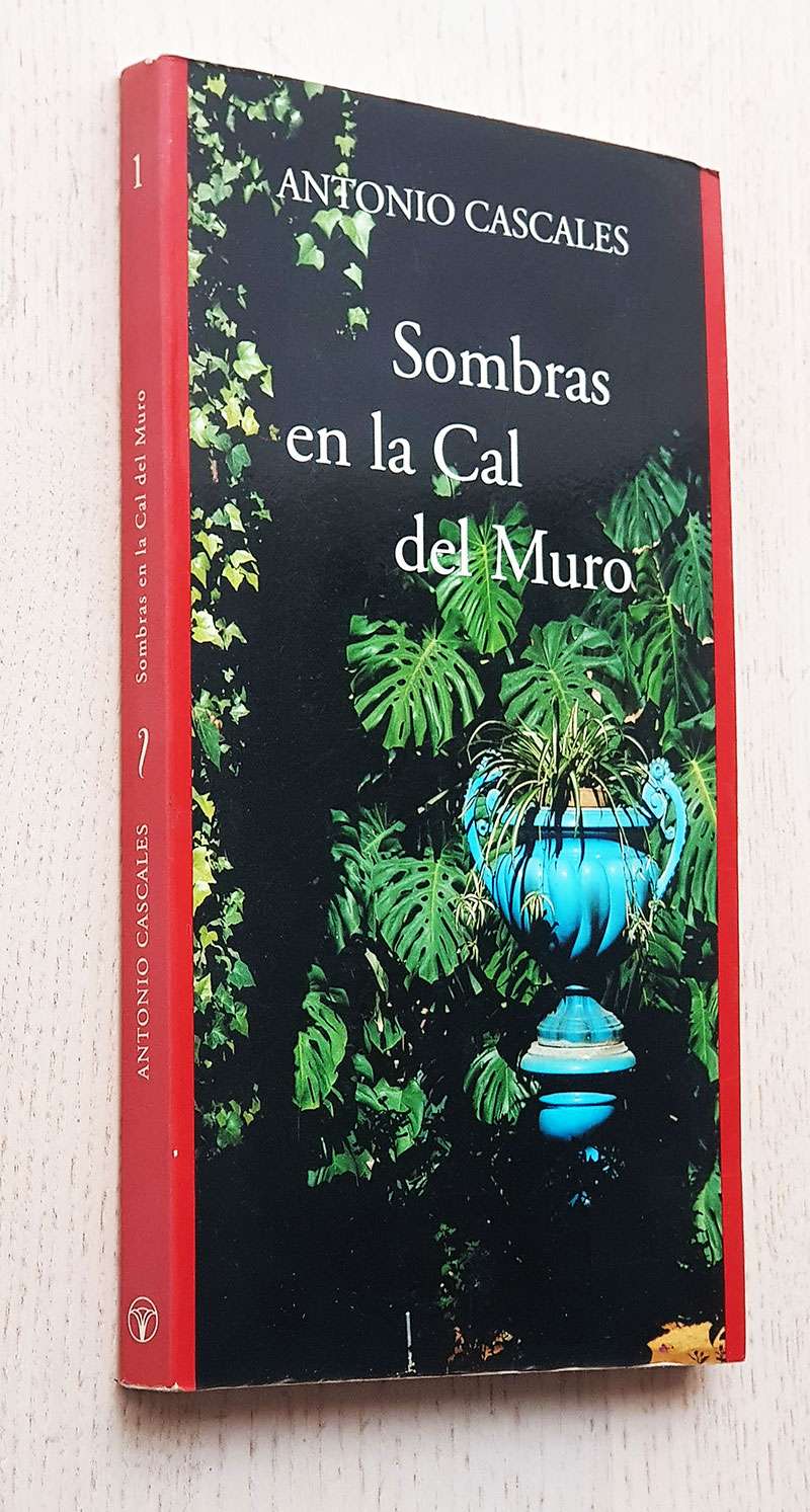 SOMBRAS EN LA CAL DEL MURO