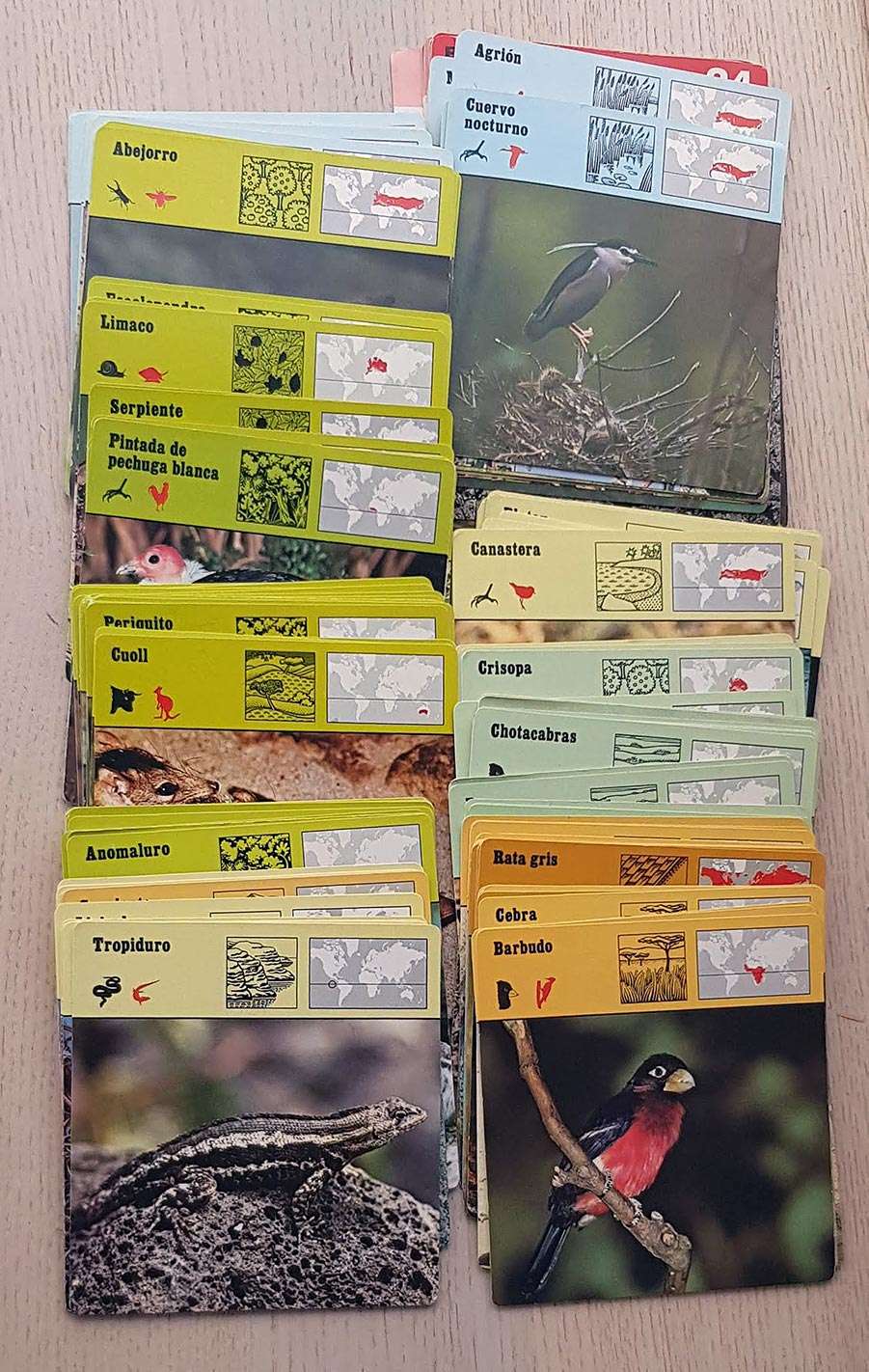 162 FICHAS de fauna (SAPE - Rencontre)