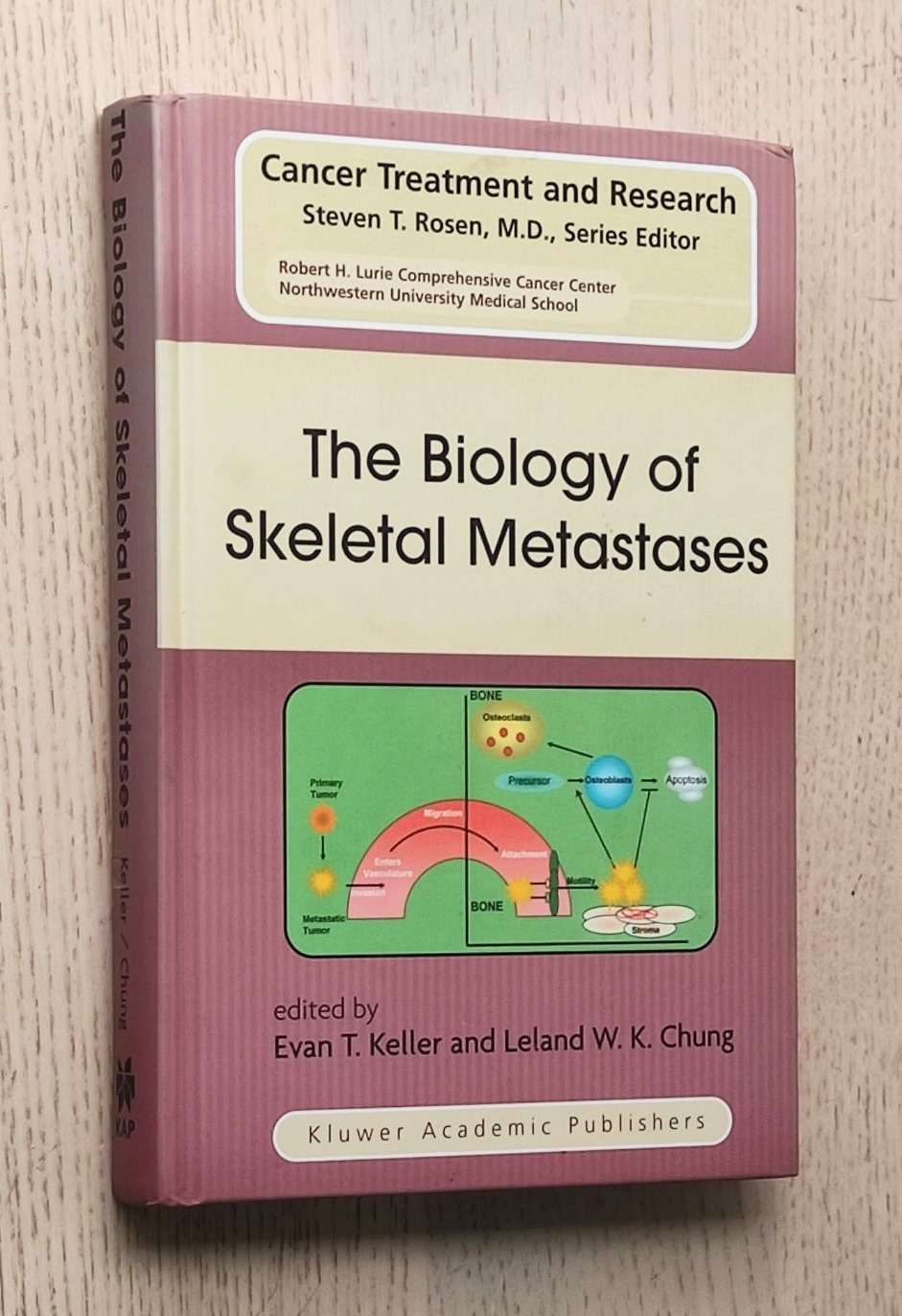 THE BIOLOGY OF SKELETAL METASTASES