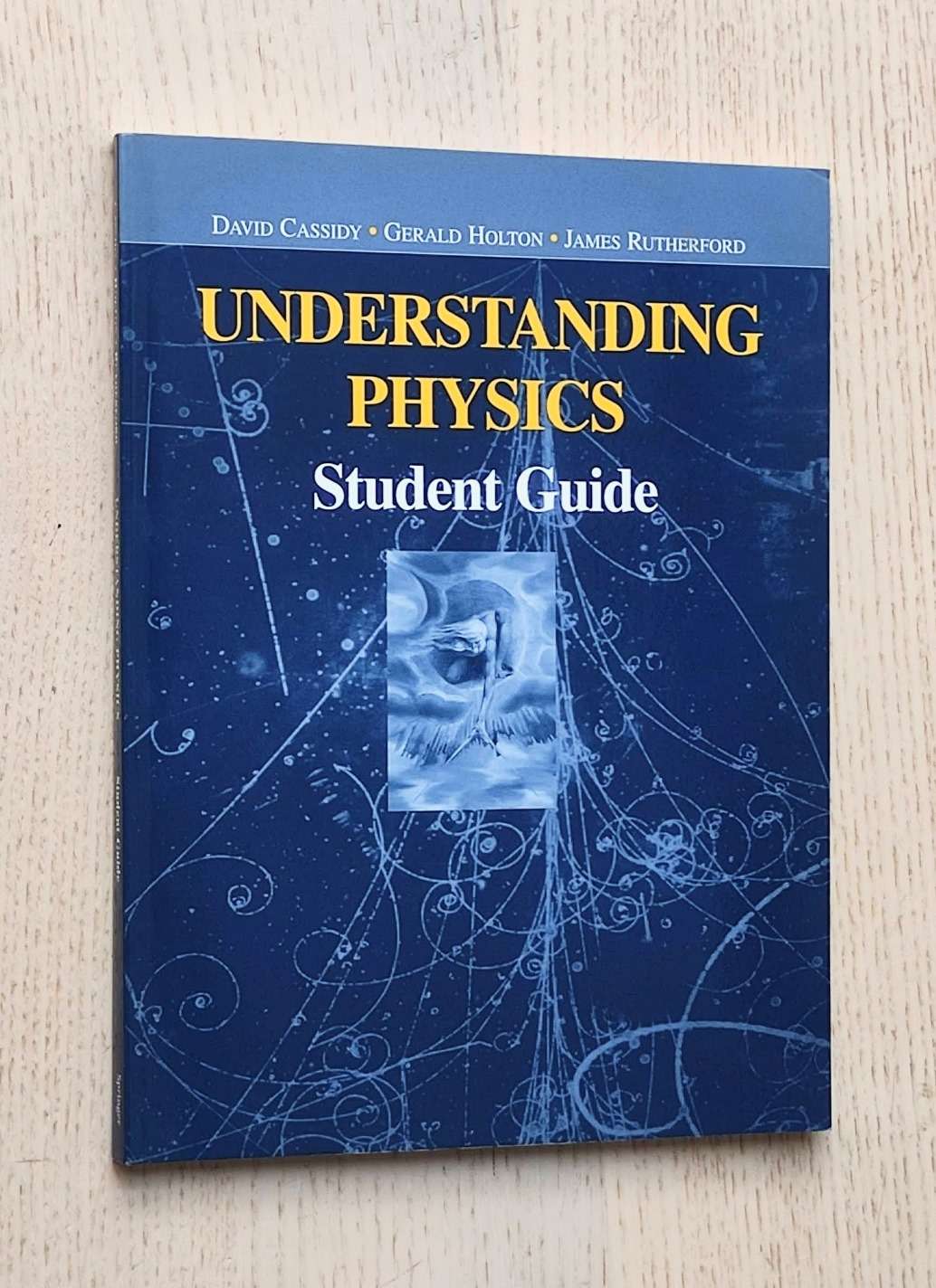 UNDERSTANDING PHYSICS. Student Guide